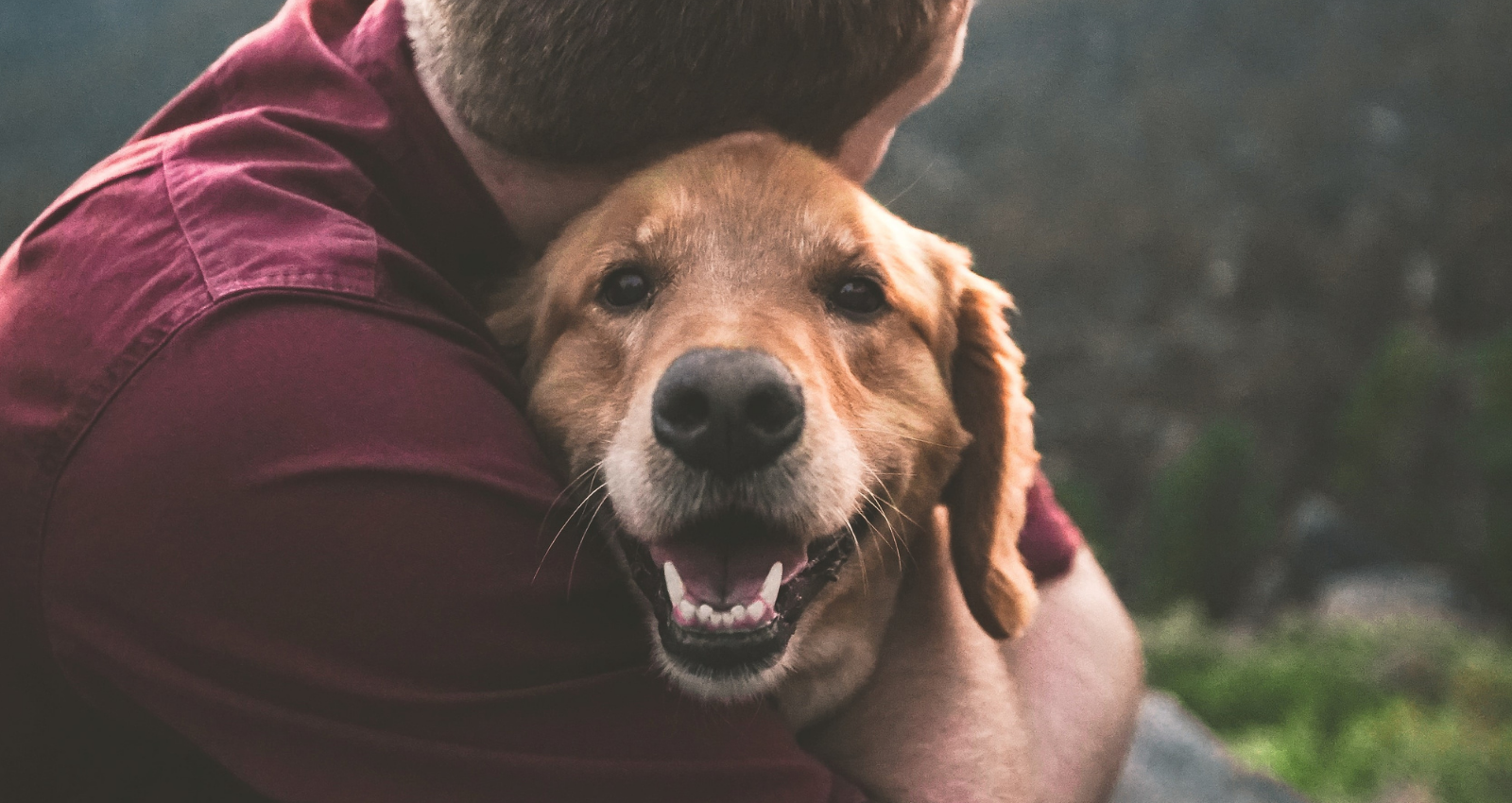 Choosing the right pet for children with special needs