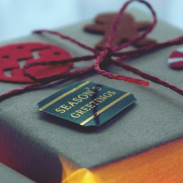 sensory-christmas-toy-guide-specialkids.company