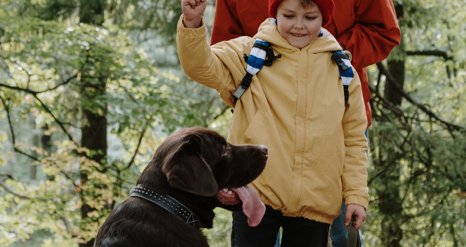 Deciding between autism service dogs or therapy dogs