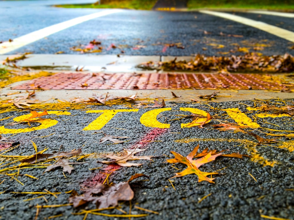 image of the words STOP written in yellow on the curb of a crossing. Leaves cover the floor slightly