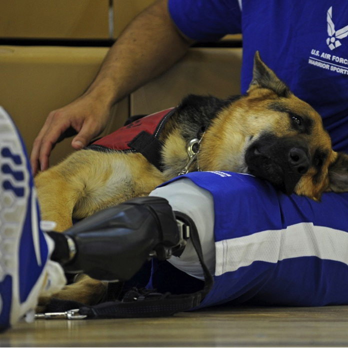 special-kids-paralympic-athlete-with-dog